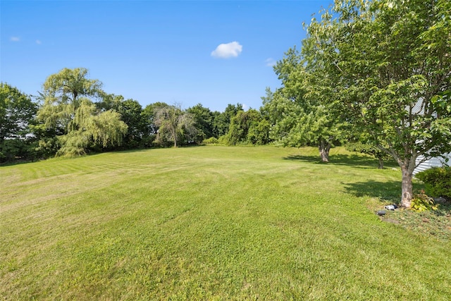 13 Wyms Heights Dr, Marlboro, NY 12542 - photo 27
