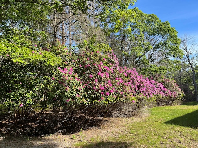 77 Montauk Hwy, Westhampton, NY 11977 - view of grassy yard