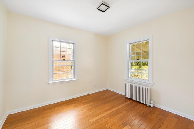 40 Pilgrim St, New Hyde Park, NY 11040 - photo 10