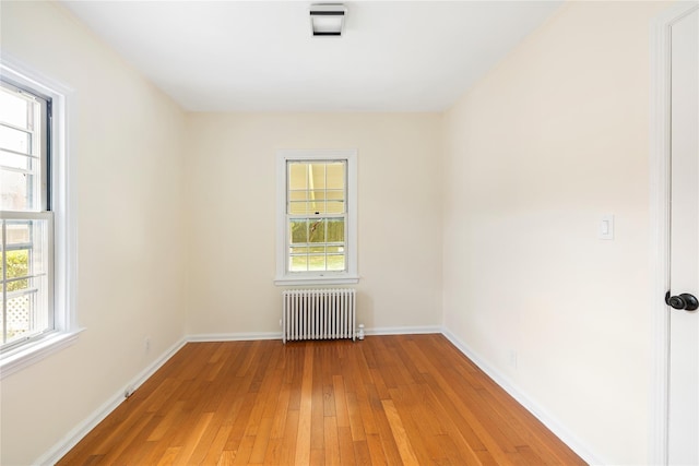 40 Pilgrim St, New Hyde Park, NY 11040 - photo 14
