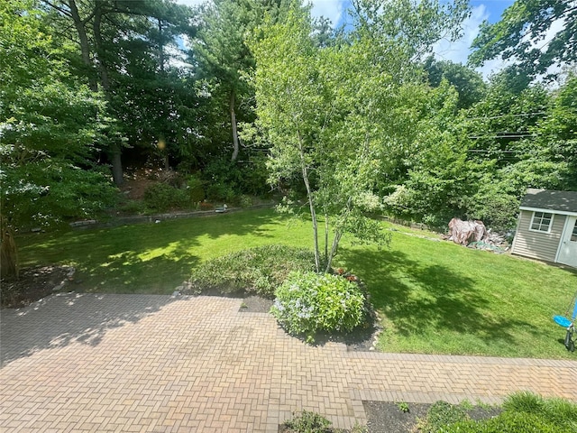 10 Hazelwood Ct, Jericho, NY 11753 - view of green lawn with a patio