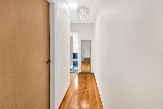 2615 Homecrest Ave Unit 1D, Brooklyn, NY 11235 - hall with light wood-style flooring and a chandelier