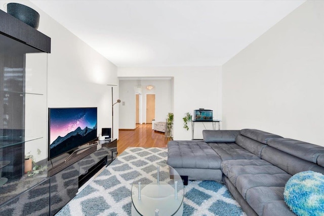 2615 Homecrest Ave Unit 1D, Brooklyn, NY 11235 - living area featuring wood finished floors