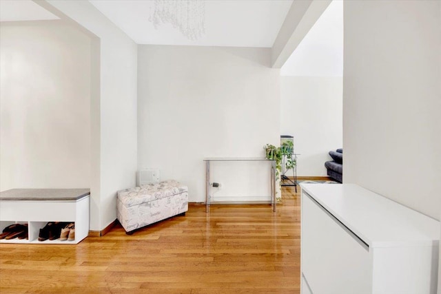 2615 Homecrest Ave Unit 1D, Brooklyn, NY 11235 - living area with light wood-type flooring