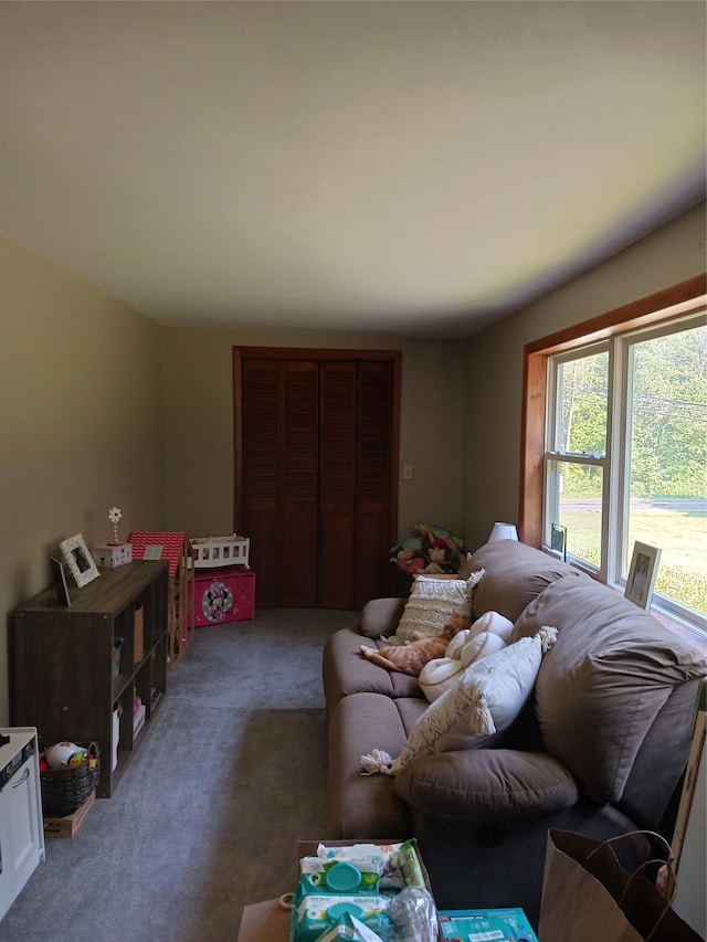 1427 Rte 44 55, Clintondale, NY 12515 - living room featuring carpet