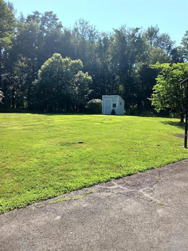 1427 Rte 44 55, Clintondale, NY 12515 - view of green lawn featuring a shed