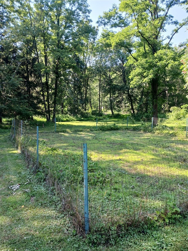 1427 Rte 44 55, Clintondale, NY 12515 - view of yard