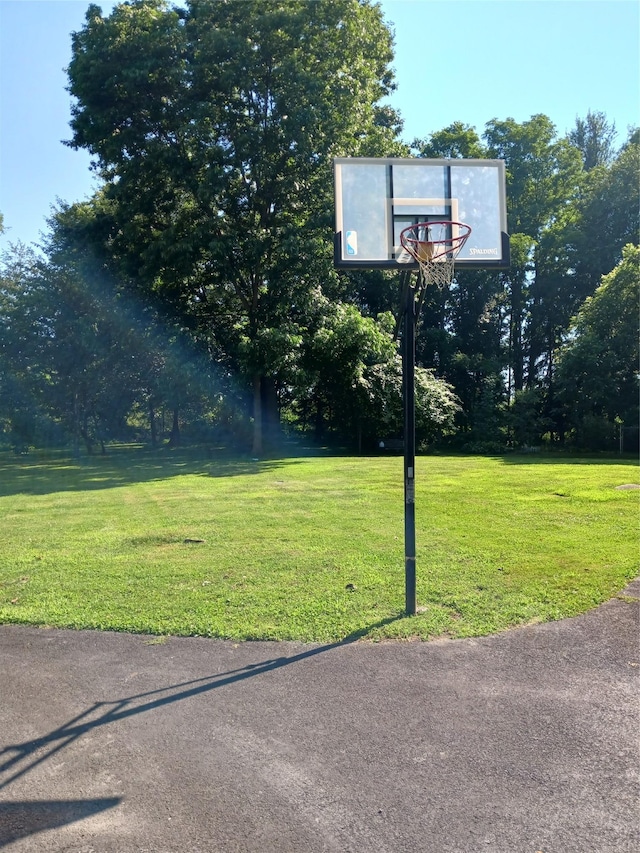 1427 Rte 44 55, Clintondale, NY 12515 - view of sport court with a yard and basketball hoop
