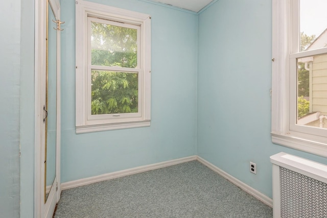 121 Campbell Ave, Williston Park, NY 11596 - photo 19