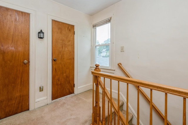 121 Campbell Ave, Williston Park, NY 11596 - photo 21