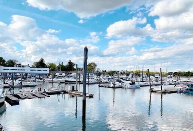 30 Davenport Ave Unit 1B, New Rochelle, NY 10805 - dock with view of marina and a water view