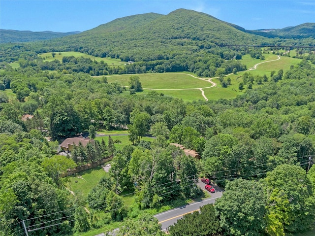 254 Orrs Mills Rd, Cornwall, NY 12553 - photo 3