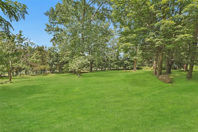 254 Orrs Mills Rd, Cornwall, NY 12553 - photo 38