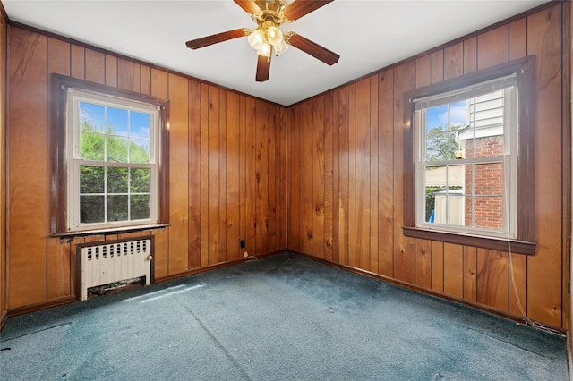 1111 Theodora St, Franklin Square, NY 11010 - photo 16