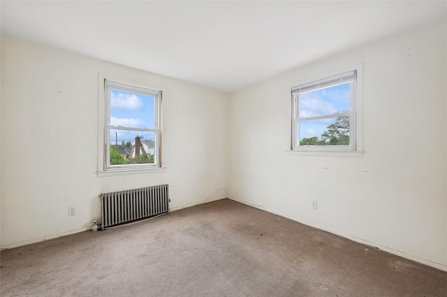 1111 Theodora St, Franklin Square, NY 11010 - photo 29