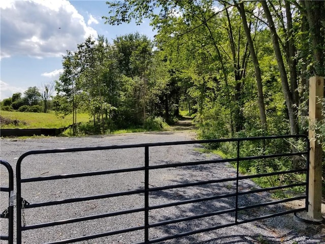 0 Rte 55, Lagrangeville, NY 12540 - photo 2