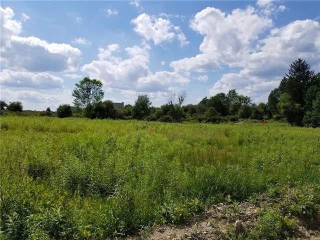 0 Rte 55, Lagrangeville, NY 12540 - photo 8