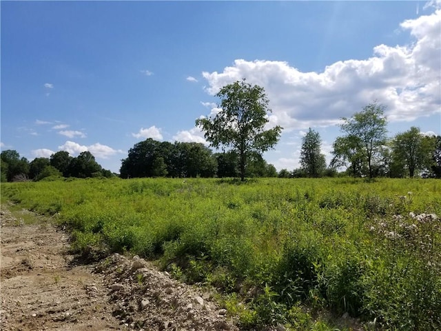0 Rte 55, Lagrangeville, NY 12540 - photo 10