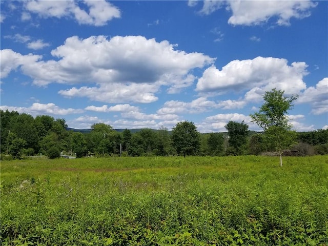 0 Rte 55, Lagrangeville, NY 12540 - photo 12