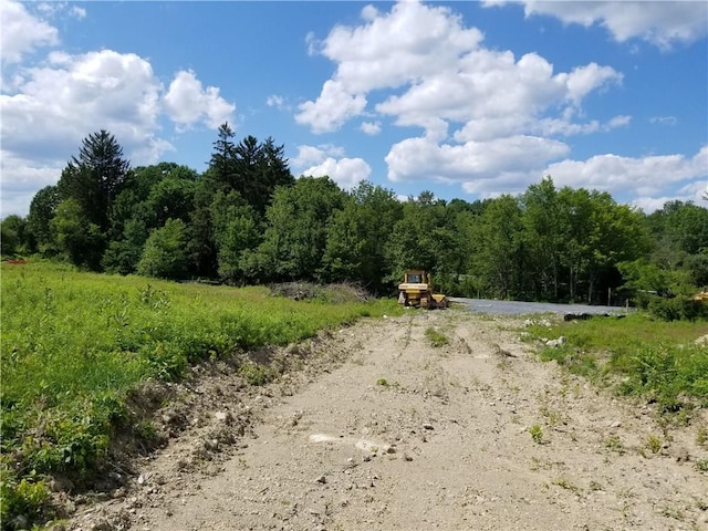 0 Rte 55, Lagrangeville, NY 12540 - photo 13