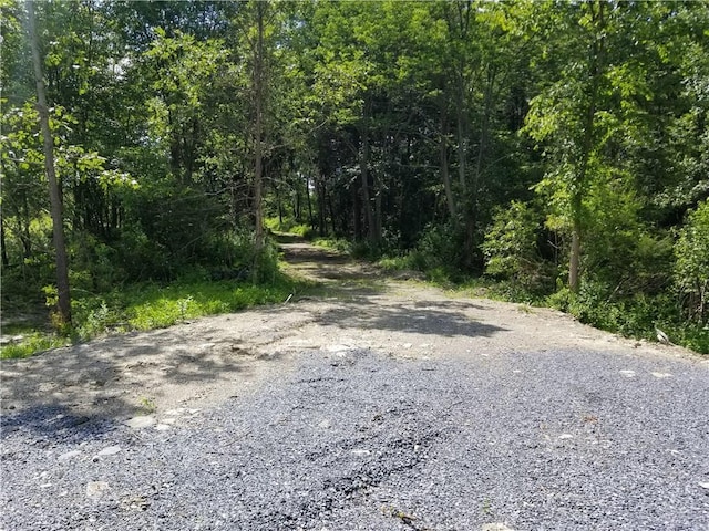 0 Rte 55, Lagrangeville, NY 12540 - photo 14