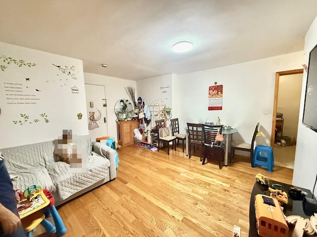 138-70 Elder Ave Unit 3A, Flushing, NY 11355 - living room with light wood finished floors