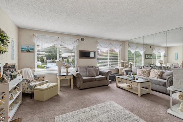 216UNITM Springmeadow Dr, Holbrook, NY 11741 - carpeted living area with a textured ceiling