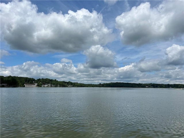 3 Lagoon Plz, North Salem, NY 10560 - photo 1