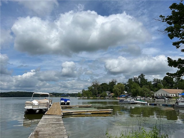 3 Lagoon Plz, North Salem, NY 10560 - photo 26