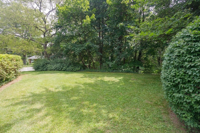 115 Shirley Ave, Fishkill, NY 12524 - photo 6