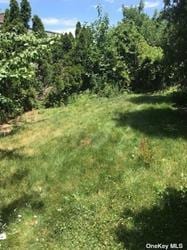 168-03 Cryders Ln, Whitestone, NY 11357 - view of tree filled area