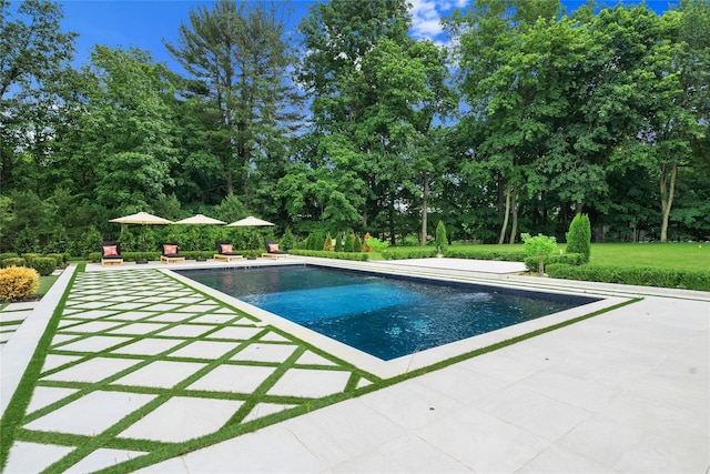2 Maple Way, Woodbury, NY 11797 - outdoor pool with a patio and view of wooded area