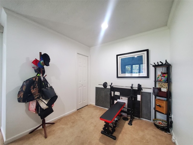 1336 Coates Ave, Holbrook, NY 11741 - workout area featuring crown molding and carpet floors