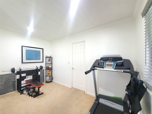 1336 Coates Ave, Holbrook, NY 11741 - workout area featuring light carpet and crown molding