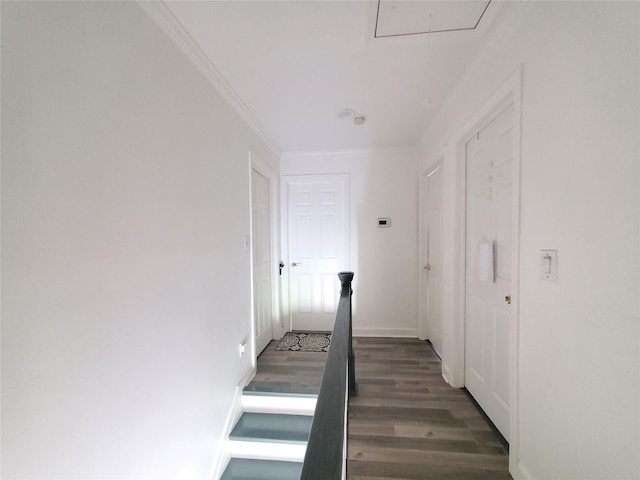 1336 Coates Ave, Holbrook, NY 11741 - hallway featuring wood finished floors, attic access, and ornamental molding
