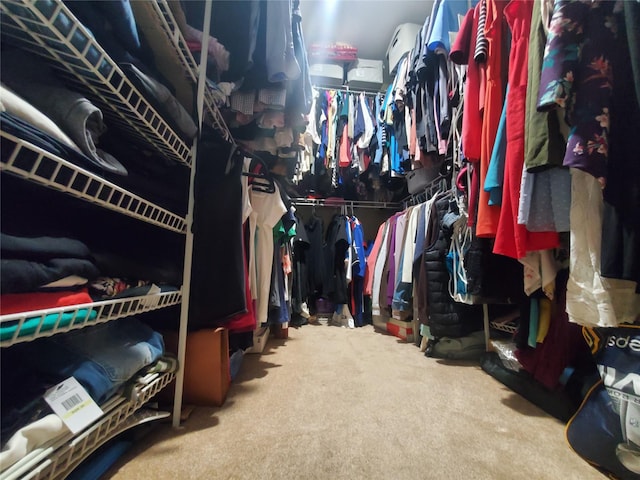 1336 Coates Ave, Holbrook, NY 11741 - walk in closet with carpet