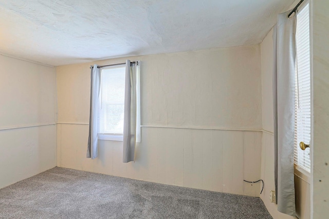 58 Wawayanda Ave, Middletown, NY 10940 - empty room with carpet flooring and wainscoting