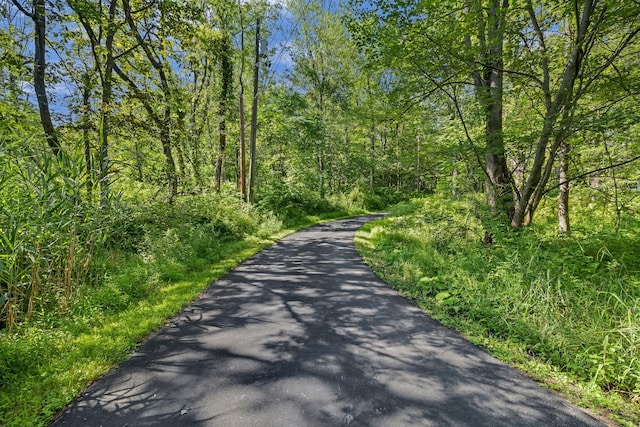 1 Rackett Rd, Port Jervis, NY 12771 - photo 5