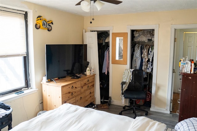 42-02 Layton St Unit 609, Elmhurst, NY 11373 - bedroom featuring multiple windows, wood finished floors, and two closets