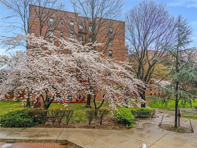 15040 71st Ave Unit 6C, Kew Garden Hills, NY 11367 - photo 4