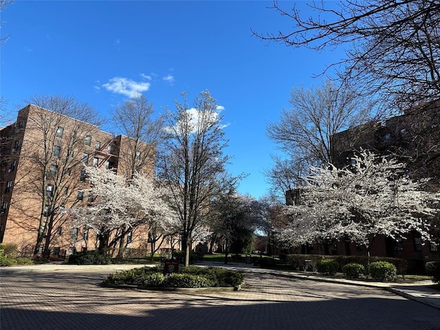 15040 71st Ave Unit 6C, Kew Garden Hills, NY 11367 - photo 8