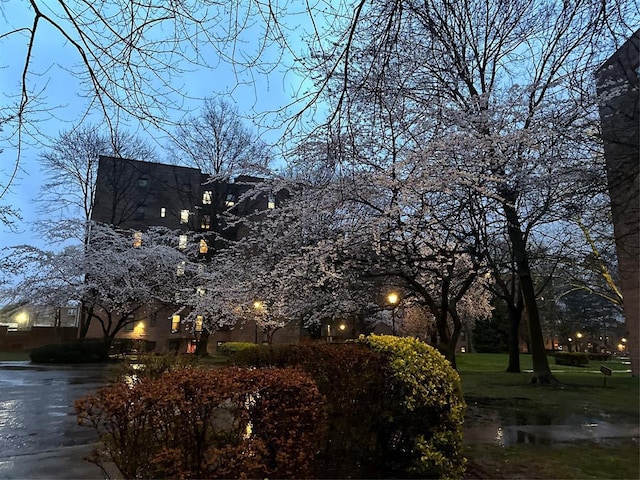 15040 71st Ave Unit 6C, Kew Garden Hills, NY 11367 - photo 11