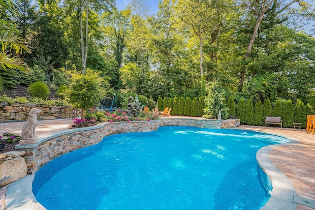 58 Buttonwood Dr, Dix Hills, NY 11746 - photo 39