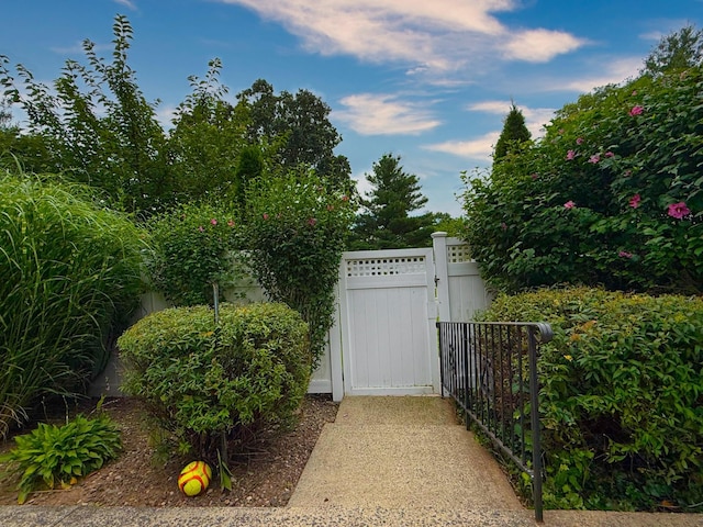 15 Blue Hill Commons, Orangeburg, NY 10962 - view of gate