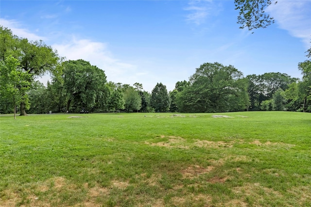 301 W 110th St Unit 2V, New York Manhattan, NY 10026 - view of grassy yard