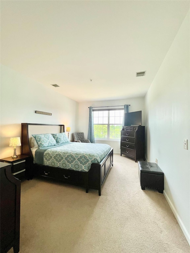 936 Tower Ridge Cir, Middletown, NY 10941 - bedroom featuring light carpet