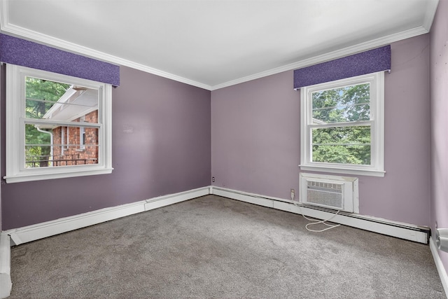 2710 S Rd Unit A4, Poughkeepsie, NY 12601 - unfurnished room with carpet flooring and crown molding