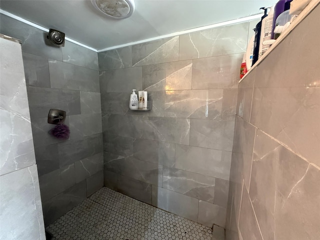 61 Cottage St, Roscoe, NY 12776 - bathroom with a tile shower
