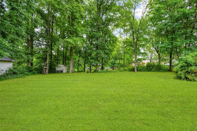 135 N Hampton Dr, White Plains, NY 10603 - photo 29