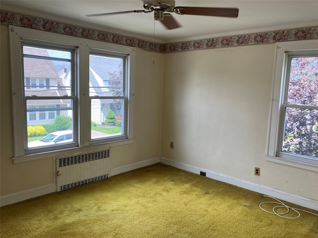 50 Fordham St, Williston Park, NY 11596 - photo 12